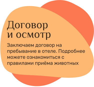 Новость вторая