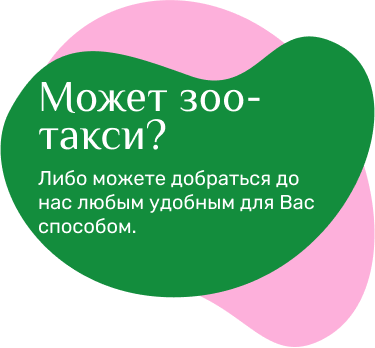 Новость первая