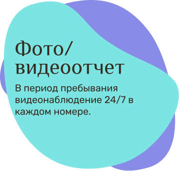 Новость четвертая